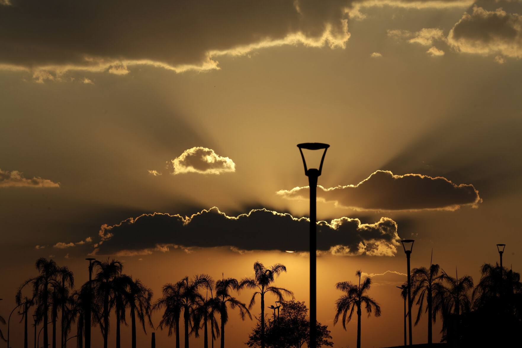 Climate Urban Extreme Heat